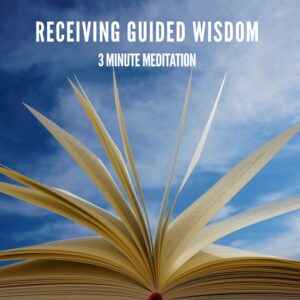 Wisdom. Guided Meditation